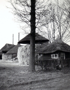 F01 Zaadbergen bij boerderij het Hietveld, 1964